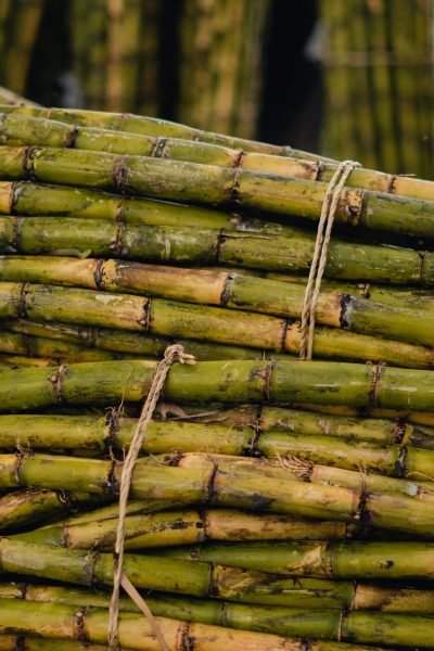 How Sugar Reshaped Puerto Rico’s Rivers
